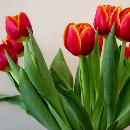 Hotel Boutique Maakunta Forssa