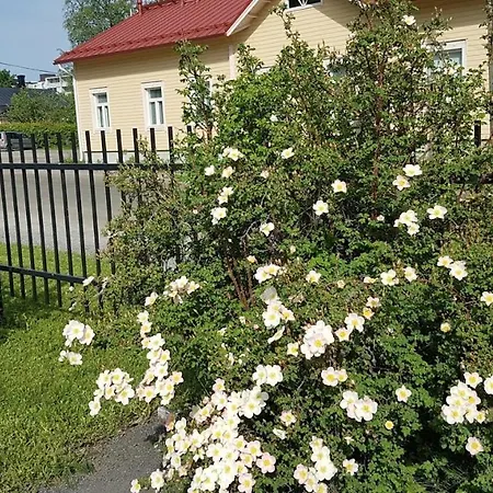 Boutique Maakunta Hotel 2*