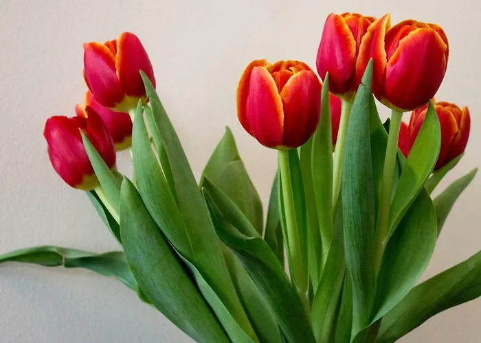 호텔 Boutique Maakunta 포르사