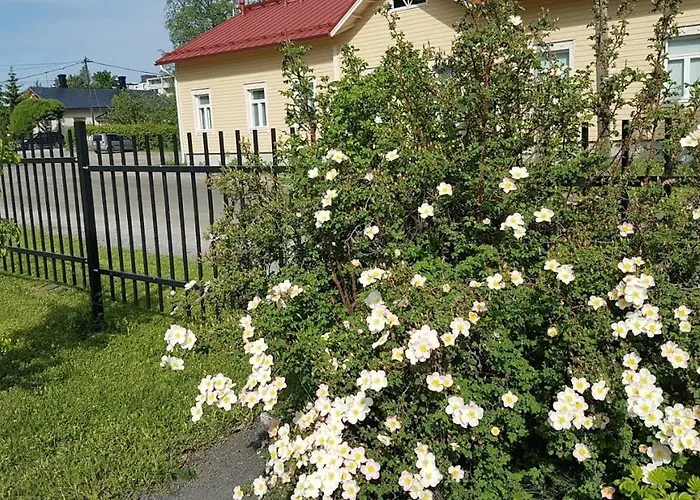 Boutique Maakunta 호텔 2*